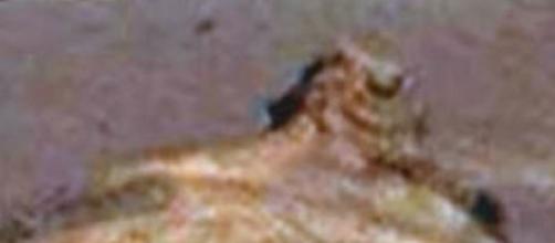 Vita su Marte: la Nasa ha trovato una sfinge?