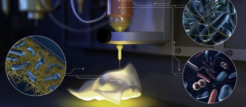 A Zurigo mini-fabbriche di batteri realizzate con la stampa 3D - medium.com