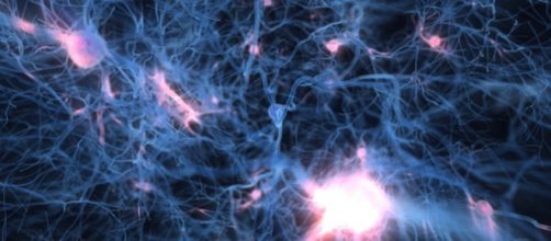 Optogenetica: governare i neuroni con la luce