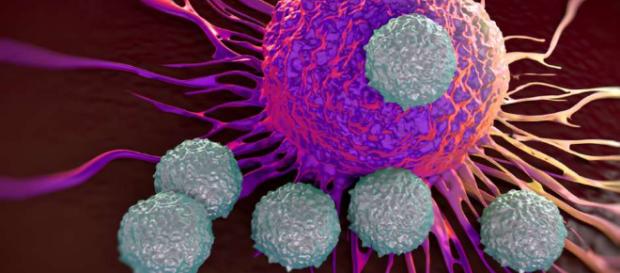 El biosensor que detecta tumores malignos antes de que se originen ... - eldiariony.com El biosensor que detecta tumores malignos antes de que se originen ... - eldiariony.com