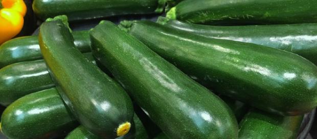 Enfermedades y plagas más comunes del cultivo del calabacín Enfermedades y plagas más comunes del cultivo del calabacín