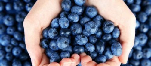 5 razones para consumir arándanos
