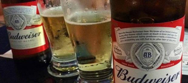 Este será el nuevo nombre de la cerveza Budweiser Este será el nuevo nombre de la cerveza Budweiser