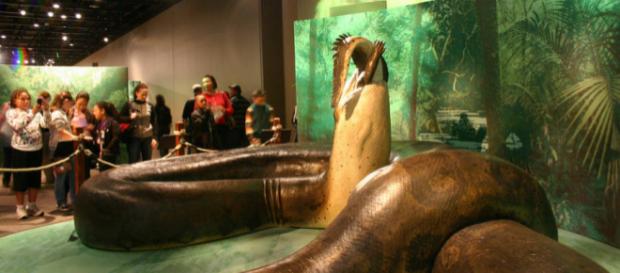 Maquete da Titanoboa / Wikimedia Commons Maquete da Titanoboa / Wikimedia Commons