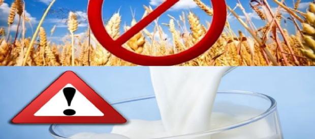 Protege tu cuerpo: Las proteínas de la leche vacuna y del trigo - sott.net Protege tu cuerpo: Las proteínas de la leche vacuna y del trigo - sott.net