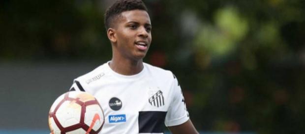 Rodrygo é sondado pelo Barcelona Rodrygo é sondado pelo Barcelona