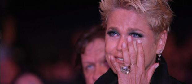 Xuxa Meneghel quer todo o apoio possível Xuxa Meneghel quer todo o apoio possível