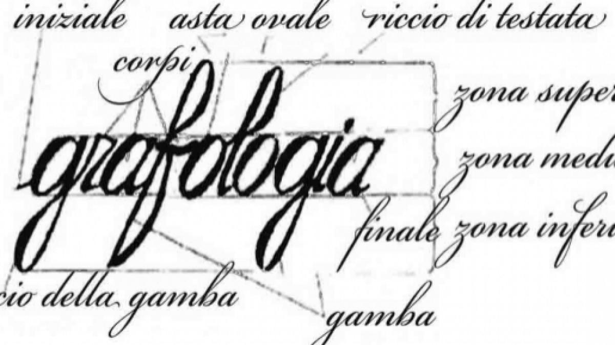 grafologia-grafologos-conoce-mas-sobre-la-escritura_2016639