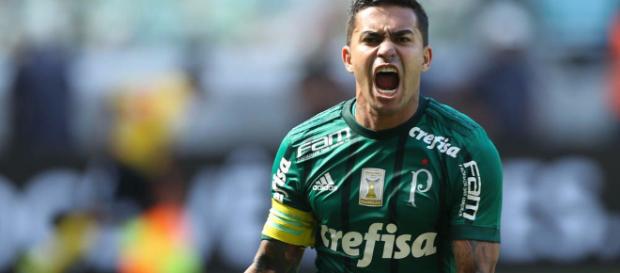 Brasileirão ao vivo: Cruzeiro x Palmeiras Brasileirão ao vivo: Cruzeiro x Palmeiras
