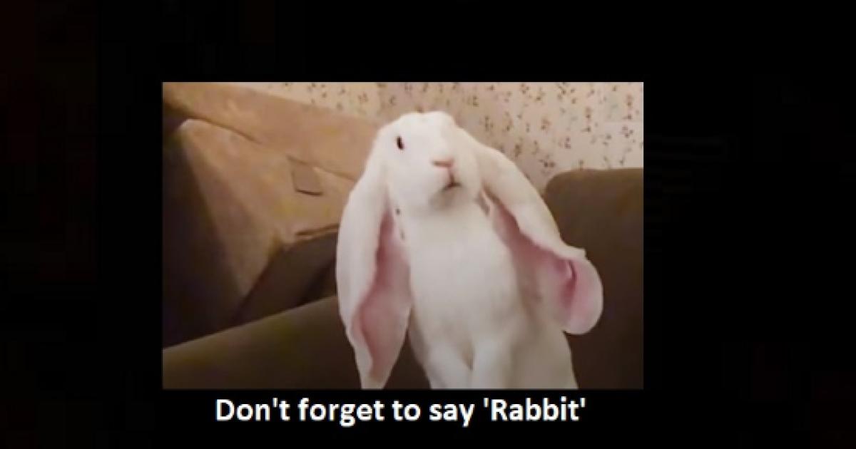Saying 'rabbit' on first day of the month brings luck in New England