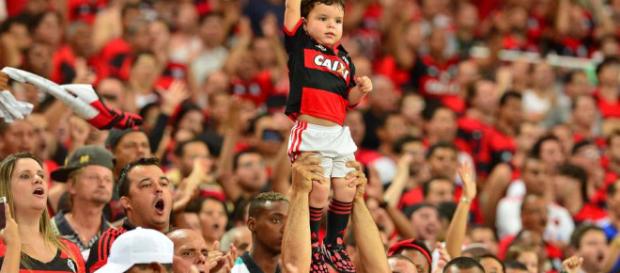 Brasileirão: Flamengo x Bahia ao vivo Brasileirão: Flamengo x Bahia ao vivo