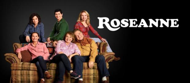 Roseanne poster oficial de la serie Roseanne poster oficial de la serie