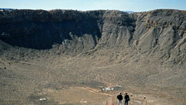 50 cose che (forse) non sapete sui dinosauri - Wired - wired.it