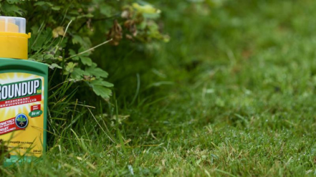 Le glyphosate est toujours utilisable pour les prochaines années.
