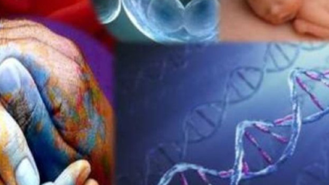 Quando la scienza deve saper porsi dei limiti.