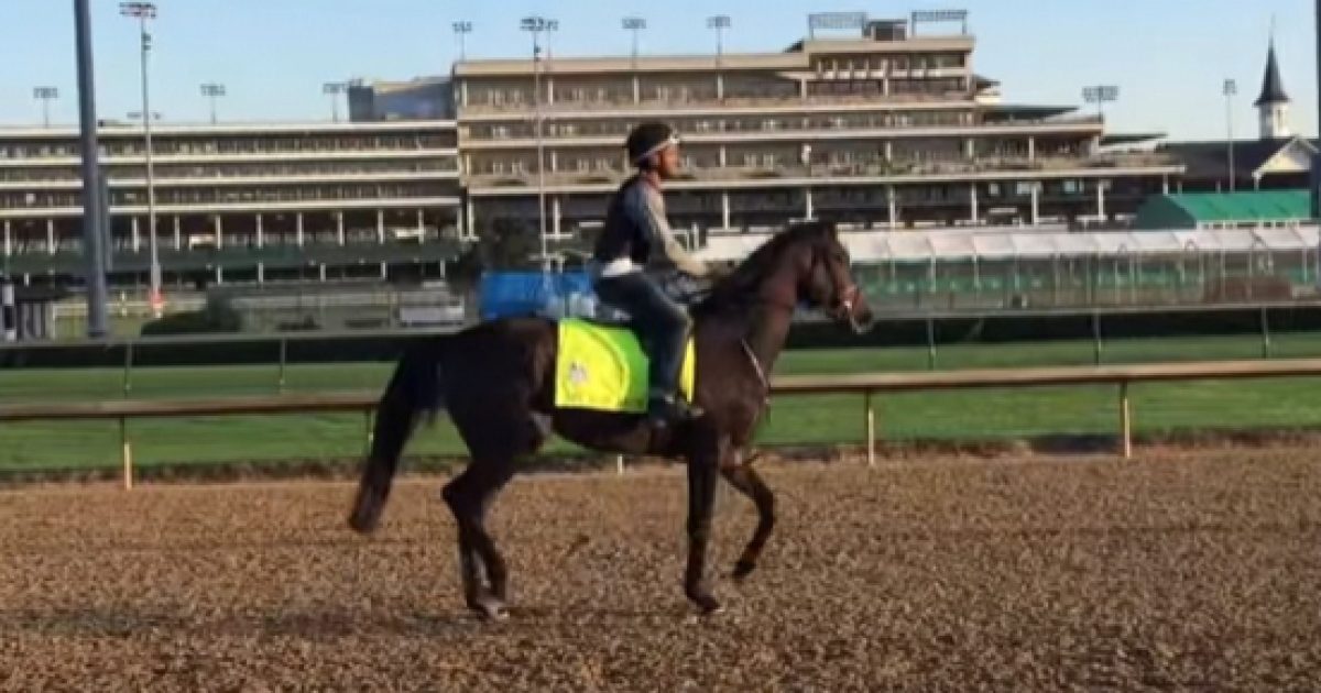 My Boy Jack Predicted For Surprise Kentucky Derby Win On 'Fox & Friends'