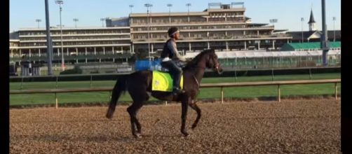 My Boy Jack the horse to watch at 2018 Kentucky Derby. Photo: HorseRacingNation YouTube screenshot