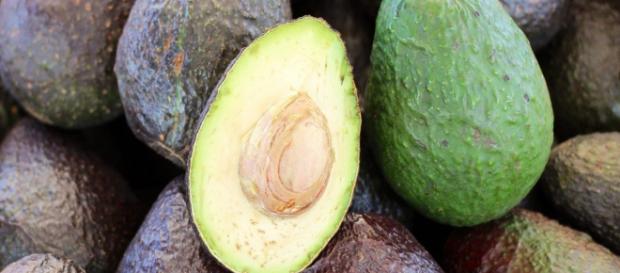Aguacate - GREENICS - greenics.es Aguacate - GREENICS - greenics.es