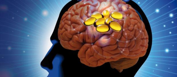 Importancia de la reelina y los omega 3 para las disfunciones - dsalud.com Importancia de la reelina y los omega 3 para las disfunciones - dsalud.com
