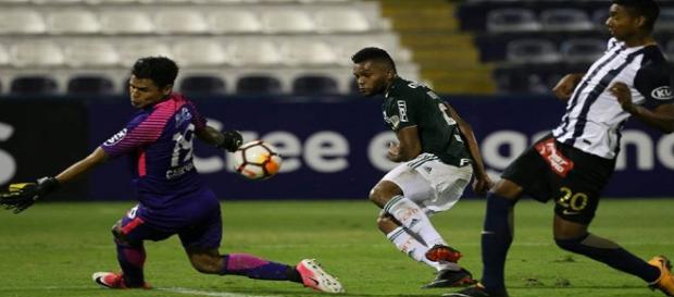 Palmeiras vence fora de casa e garante primeiro lugar do Grupo 8 - Foto: Cesar Greco / Facebook SE Palmeiras Palmeiras vence fora de casa e garante primeiro lugar do Grupo 8 - Foto: Cesar Greco / Facebook SE Palmeiras