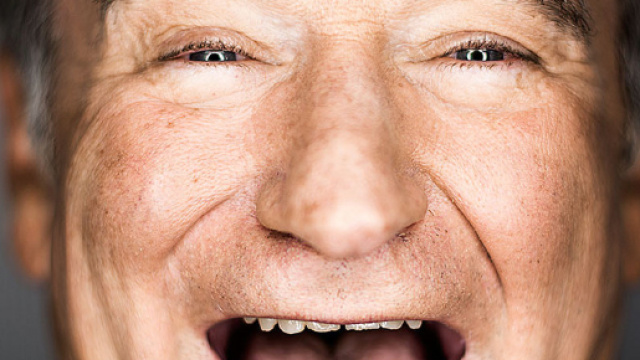 Robin, biografia scritta da Dave Itzkoff