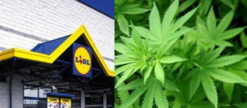 La cannabis legale sarà venduta nei supermercati Lidl