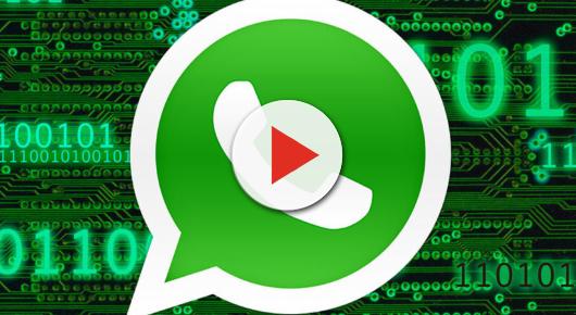 Truffa Adidas su Whatsapp: attenzione a questi messaggi che promettono regali