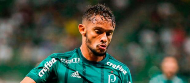 Gustavo Scarpa - Defendendo o Palmeiras Gustavo Scarpa - Defendendo o Palmeiras