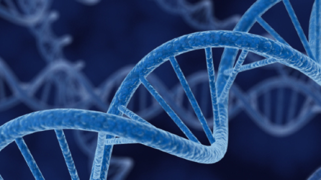 Genetica: gli italiani 'doc' non esistono