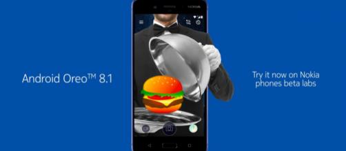 HMD opens Nokia 8 Android 8.1 Oreo beta program - theandroidsoul.com