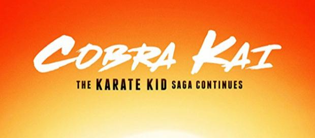 Cobra Kai: The Karate Kid saga continues Cobra Kai: The Karate Kid saga continues