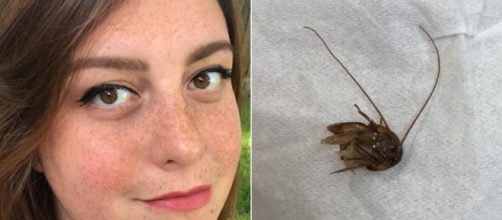 Ragazza vive per 9 giorni con uno scarafaggio nell'orecchio
