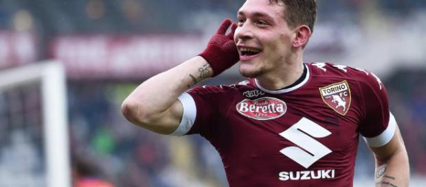 Belotti del Torino está en la mira de varios equipos Belotti del Torino está en la mira de varios equipos