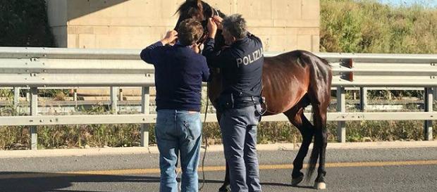 L'intervento della polizia sulla Statale 640 L'intervento della polizia sulla Statale 640