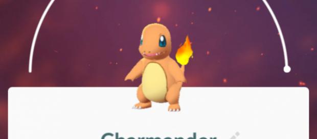 Charmander's evolutionary line has the spotlight for May's Community Day. Image via Sierra Hawkins/Author Charmander's evolutionary line has the spotlight for May's Community Day. Image via Sierra Hawkins/Author