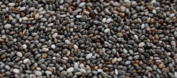 Chia flan - un postre para los que le gusta la comida sabrosa y ... - nextews.com Chia flan - un postre para los que le gusta la comida sabrosa y ... - nextews.com