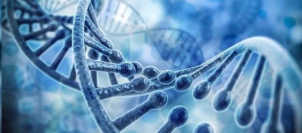 El ADN viral “basura”, la dieta cetogénica que mejora el ADN y la health-matrix.net El ADN viral “basura”, la dieta cetogénica que mejora el ADN y la health-matrix.net