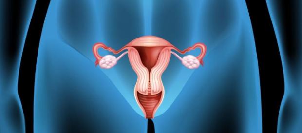 Hablar sobre la zona íntima femenina puede ser un tema curioso e interesante. Comprobar Hablar sobre la zona íntima femenina puede ser un tema curioso e interesante. Comprobar