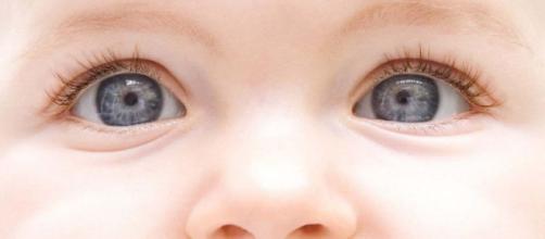 Ojos de bebé, ¿por qué de pequeños tenemos un color diferente a cuando crecemos?