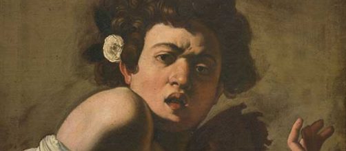 «Ragazzo morso dal ramarro» uno dei quadri più celebri di Caravaggio