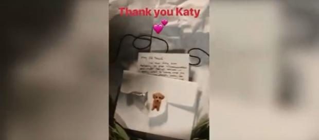 Katy Perry's gesture of a genuine olive branch and a caring note spoke volumes to Taylor Swift. Screencap ClevverNews/YouTube Katy Perry's gesture of a genuine olive branch and a caring note spoke volumes to Taylor Swift. Screencap ClevverNews/YouTube
