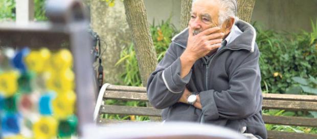 ¿Tienes canas? Podrías estar enfermo ¿Tienes canas? Podrías estar enfermo