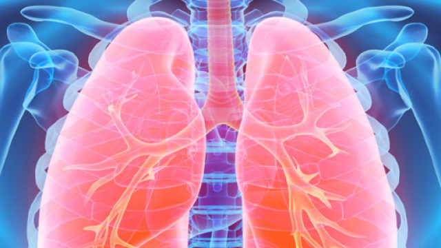 La broncopneumopatia cronica ostruttiva &egrave; semi sconosciuta dagli Italiani