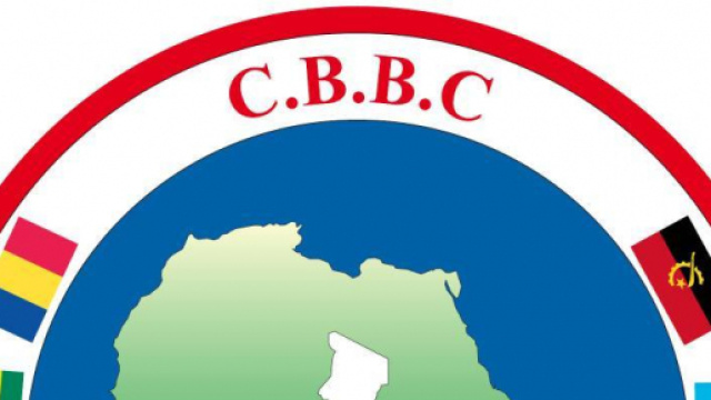 Le CBBC de la coop&eacute;ration Botswana-Afrique Centrale (c) Ibrahim Zakari
