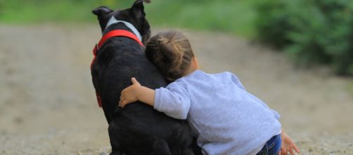 Niños y mascotas: Cómo convivir - Kafito, Díselo a Mamá. - kafito.es