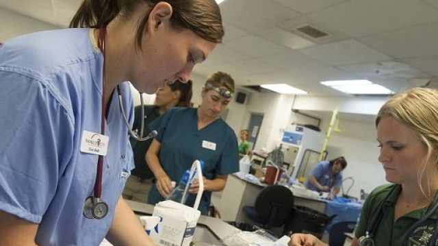 Concorsi per OSS e infermieri a giugno 2018