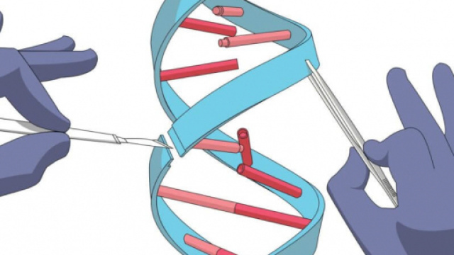 Crispr, tutte le ultime notizie