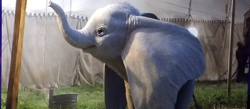 Dumbo live-action remake dalla penna di Tim Burton e Disney