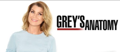 'Grey's Anatomy' season 15 will be incomplete without Oh and Speedman (GreysAnatomy/Facebook Page)