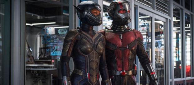 Actores de Ant-Man y la Avispa bromearon sobre sus personajes y su ausencia en Infiny War Actores de Ant-Man y la Avispa bromearon sobre sus personajes y su ausencia en Infiny War